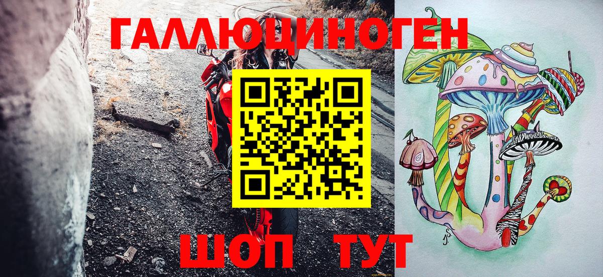 купить наркоту  Вход с VPN  Ногинск  Псилоцибиновые грибы Psilocybine cubensis 